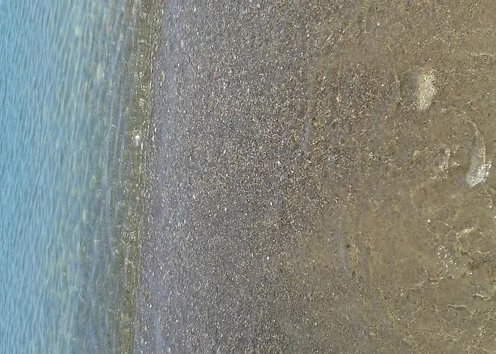 Arte Mare E Cultura *